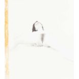 Lionel Bayol-Thémines (1968 Paris – lebt in Paris)