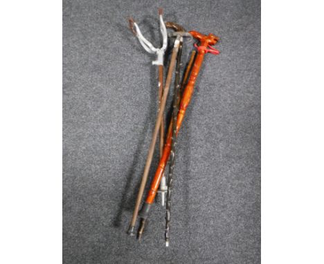 A shooting stick and four walking sticks, one with a horn handle. 