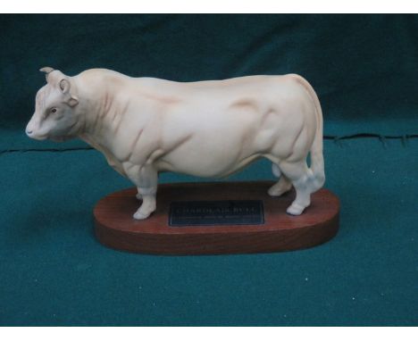 BESWICK UNGLAZED CERAMIC CHAROLAIS BULL ON MOUNT.