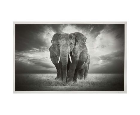  BJÖRN PERSSON (SWEDISH 1974-) IN THE FOOTSTEPS OF GIANTS XL Inkjet pigment print on Hahnemühle Photo Rag Ultra Smooth 305gsm