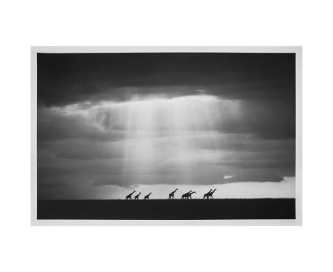  BJÖRN PERSSON (SWEDISH 1974-) GUIDED BY THE LIGHT XL Inkjet pigment print on Hahnemühle Photo Rag Ultra Smooth 305gsm, 10/10