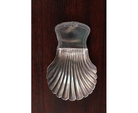 Early Shell design Scallop Tea Caddy spoon with Chaised decoration 