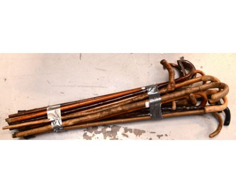 A quantity of walking sticks to include a cane walking stick, two briar wood walking sticks etc.