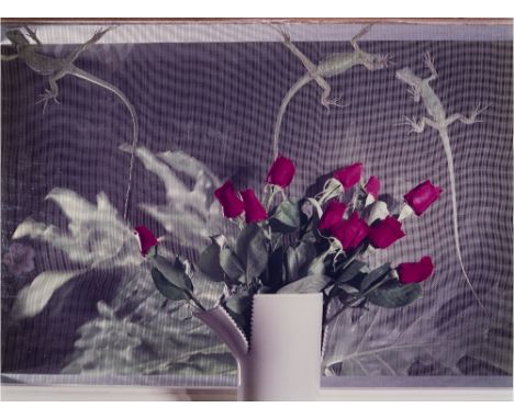  JO ANN CALLIS 1940 Lizards and Roses 1980 Stampa fotografica vintage a colori. Firma dell’autrice e data al verso. cm 44 x 5