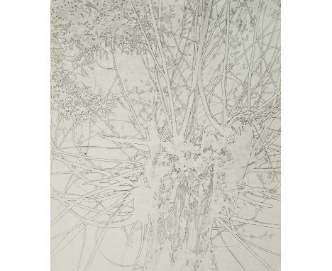  LUIGI VERONESI 1908-1998 L’albero morto c. 1950 Stampa fotografica vintage alla gelatina sali d’argento solarizzata. Timbro 