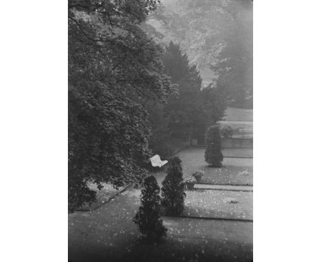  JOSEF SUDEK 1896-1976 Prirodni Park Prague 1970 Stampa fotografica vintage gelatina sali d’argento. Firma dell’autore al rec