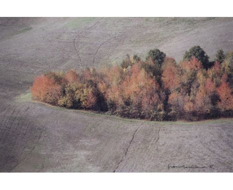  FRANCO FONTANA 1933 Paesaggio 1982 Stampa fotografica vintage a colori Cibachrome. Firma dell’autore, data e timbro a secco 