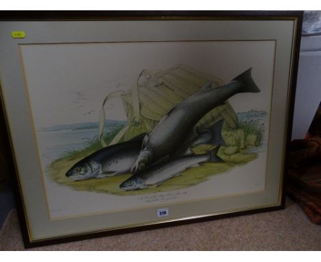 BART fine vintage print - 'Trout of the Solva...'