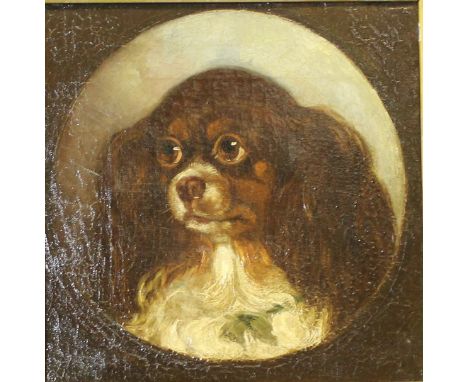 ATTRIBUTED TO BENJAMIN WATERHOUSE HAWKINS (1807-1894) "Study of King Charles Spaniel puppy in liver and white", bears handwri