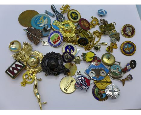 Enamel and other badges, etc.