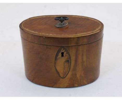 A George III satinwood tea caddy, late 18th century, of oval form with with inlaid conch shell cartouche, 11cm high, 15cm wid