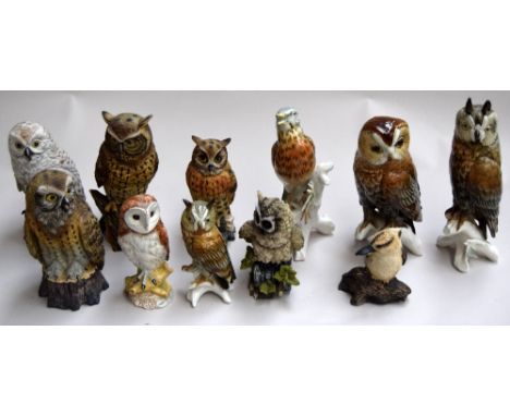 A collection of eleven ceramic birds, to include four owls made by 'Daito' and 'Royal Meridian'