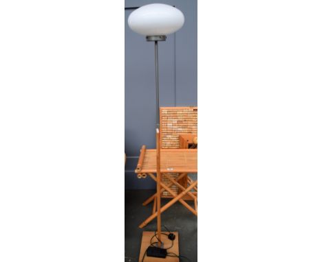 A floor standing modern lamp