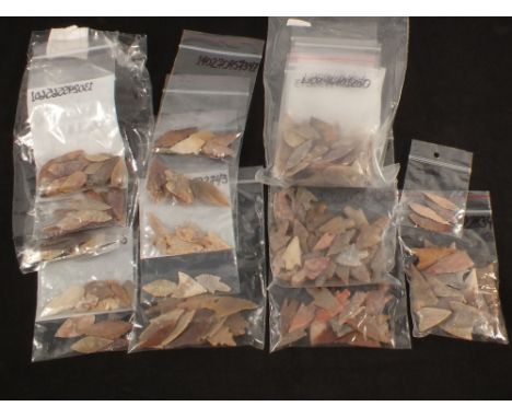 A large quantity of flint arrow heads