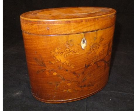 A George III harewood and kingwood cross-banded marquetry inlaid tea caddy of oval form, the hinged lidded top with birds on 