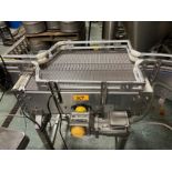 Accumulation Table - Intralox Belt over Stainless Steel Frame (Approx. 3' x 2') | Rig Fee $650