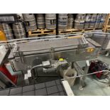 Accumulation Table - Intralox Belt over Stainless Steel Frame (Approx. 5' x 20") | Rig Fee $650