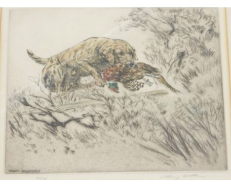 Henry Wilkinson (1921-2011). Gun dog with pheasant, dry point etching, artist signed limited edition drypoint etching number 