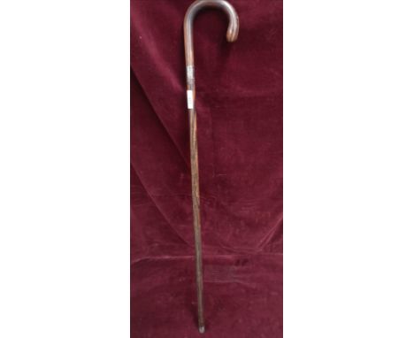 Silver Hall marked collard gents walking stick.. 