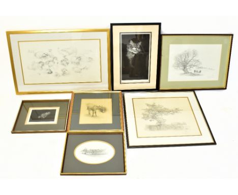WILLIAM GELDART; signed limited edition monochrome print, Studies of Otters, signed and numbered 223/600, 39cm x 71cm, framed