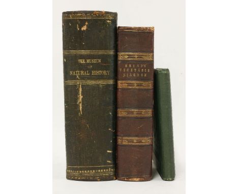 NATURAL HISTORY/PLATE BOOKS:1.  A Glimpse of Oriental Nature.  Pictures with Verses.  By A Lady.  With preface by the Rev. G 