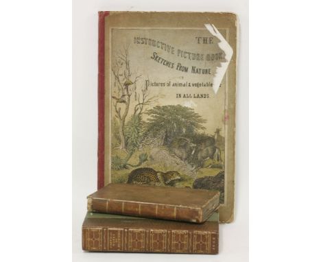 1.  Book-Keeping.  L, Cradock, 1811.  CONDITION: G+;2.  Wagner, H: The instructive picture-book.  L, E Stanfor, 1877. With ma