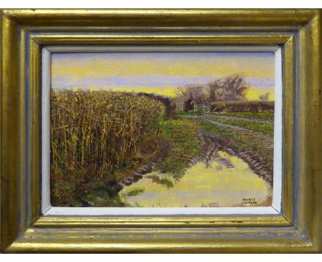 MAURICE SHEPPARD PPRWS, NEAC (British, b.1947) 'Gower Cut Hedge in Winter Light', oil on board, signed lower right, 18cm x 25