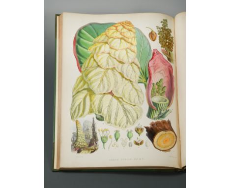 Illustrations of Himalayan Plants, London: Lovell Reeve 1855, folio, hand-coloured additional lithographed title with elabora