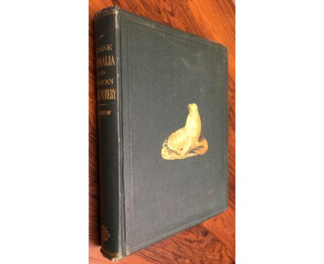The Marine Mammals of the North-Western Coast of North America. San Francisco, 1874, 4to, 27 plates (pl. 22 duplicated for pl