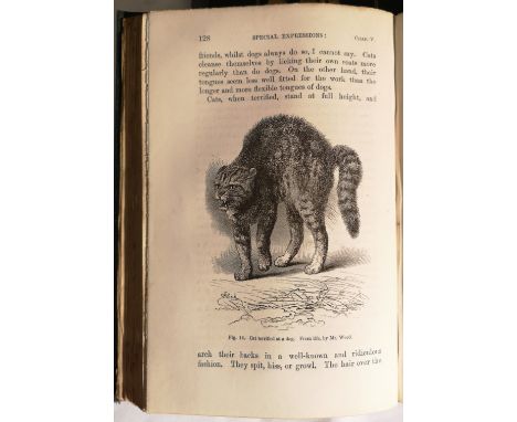 The Expression of the Emotions, 1st edition 1872, 4pp. catalogue dated November 1872 at end, 7 heliotype plates with Roman nu