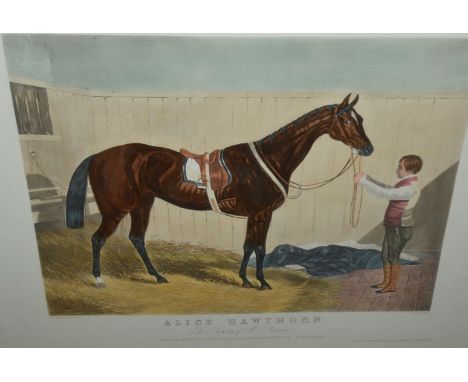 Large gilt framed print entitled 'Alice Hawthorn The Property of M Plumber' published by J F Herring & Son