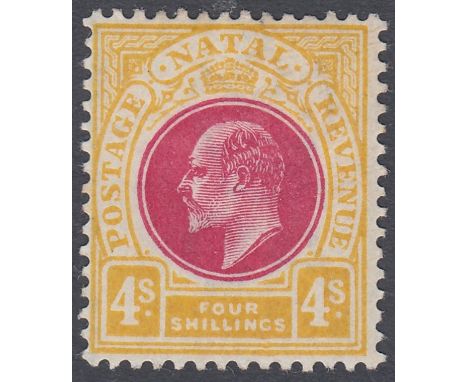 STAMPS NATAL, 1902-03 EDVII 4s deep rose & maize, M/M, SG 139. Cat £95.