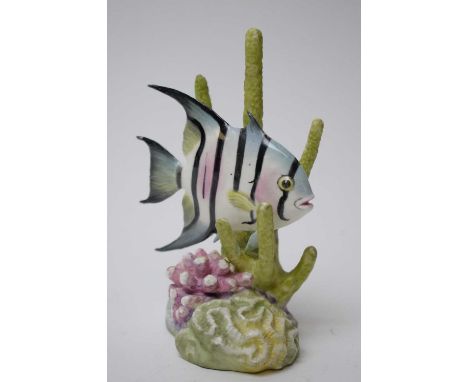 A Royal Worcester porcelain figure of a Spadefish, modelled by R. Van Ruyckwelt, Model No. 3579, printed mark in black, 13cms