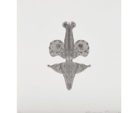 δ Cornelia Parker (b.1956)Pornographic DrawingLithograph printed in colours, 2000, signed and numbered from the edition of 20