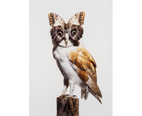 Nancy Fouts (b.1945)Owl with ButterflyC-print in colours, 2012, signed and numbered from the edition of 100 in pencil, on wov