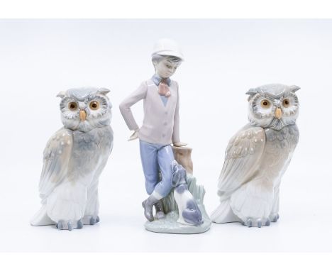 A pair of Nao owls along with Nao boy