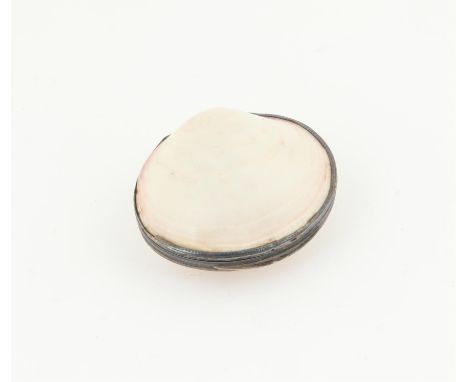 Shell and white metal mounted snuff box, 7cm wide,Condition Report:  Surface marks and wear consistent with age and use, glue
