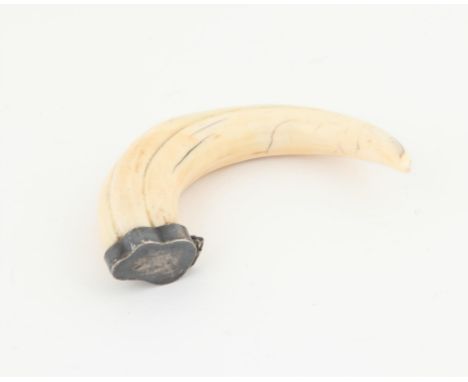 18th century wart hog tusk and white metal mounted snuff box, 9.5cm wide,Condition Report:  Surface marks and wear consistent