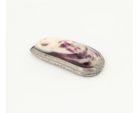 19th century mussel shell and silver plated mounted snuff  box, 9.5cm long,