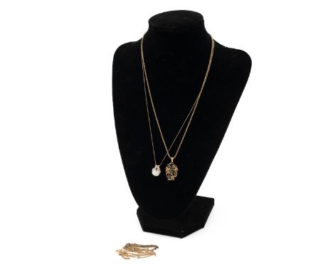 Various jewellery, includes various 9ct gold necklaces, 9ct gold opal necklace, 5.07, along with 14ct gold pendant and neckla