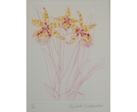 •DAME ELIZABETH VIOLET BLACKADDER OBE, RA, RSA, RSW, RGI (SCOTTISH B. 1931) ORCHID Etching with aquatint, signed and numbered