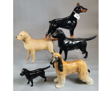Collection of ceramic dogs to include: Doberman, Beswick Labrador, Beswick Wendover and a Beswick dog marked Hajubah. (5) (B.