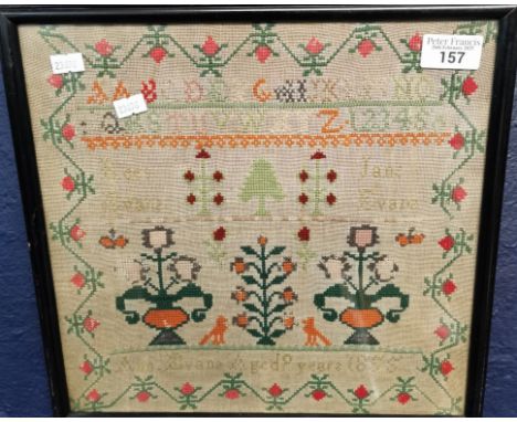 Framed tapestry sampler, Ann Evans, aged 9 years, 1855. 30x31cm approx. Framed and glazed. (B.P. 21% + VAT)