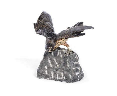An Austrian cold painted bronze model of a sparrow hawk perched on a rockin the manner of Franz Xavier Bergmann (Austrian, 18