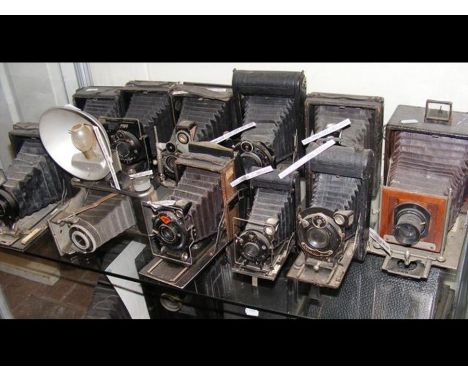 Assorted vintage folding cameras