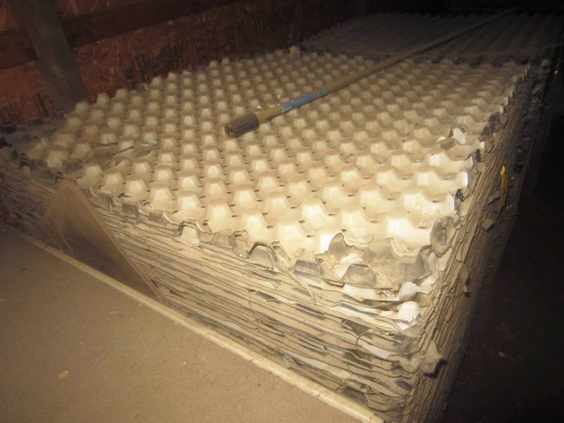 Plastic Pallet Dividers