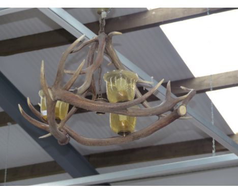 Taxidermy: An antler chandelier with three amber glass shades