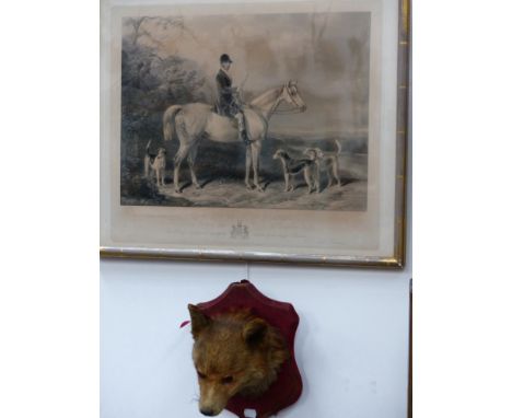 Two 19th Century hunting prints and a taxidermy fox mask.