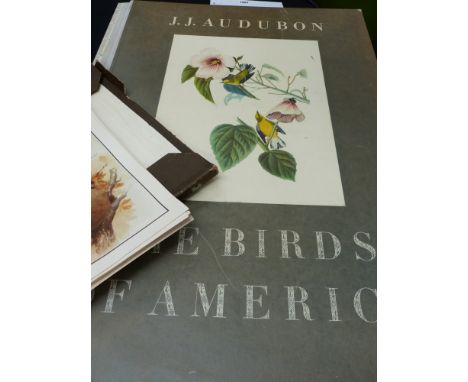 BOOK: Audubon (JJ). The Birds of America. 1972. Liepzig reprint Limited Edition 5/500. Elephant Folio with Japan stitched boa