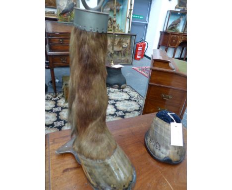 Taxidermy: A horse's leg doorstop, the top inscribed "Barrister, died Jan 1888". 47.7cm high together with a horse's hoof pin